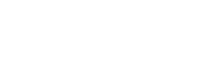 CVCSTORE